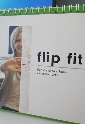 flip_fit_2.jpg